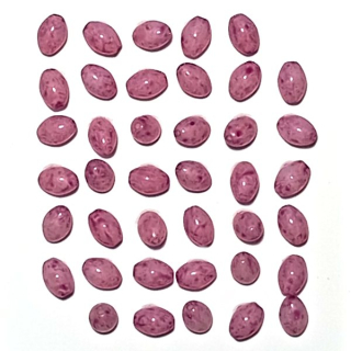 Oliva 6x4mm"07775"100ks/bal